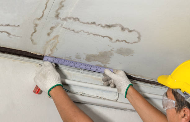 Reliable Water Damage Restoration contractor in Pontotoc, MS by Water Damage Irwin